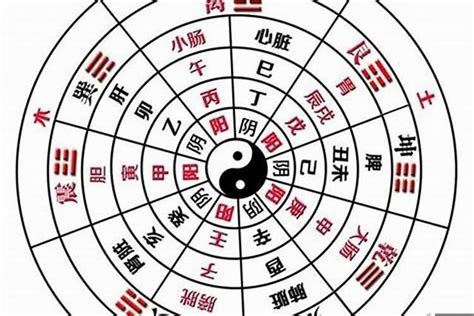 八字陰陽比例|八字的陰陽怎么看 如何理解自己的八字陰陽